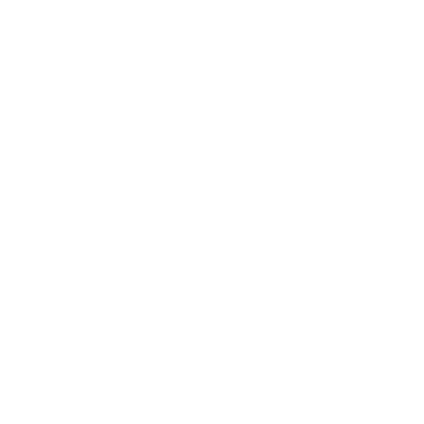 Basic Bro Clothing